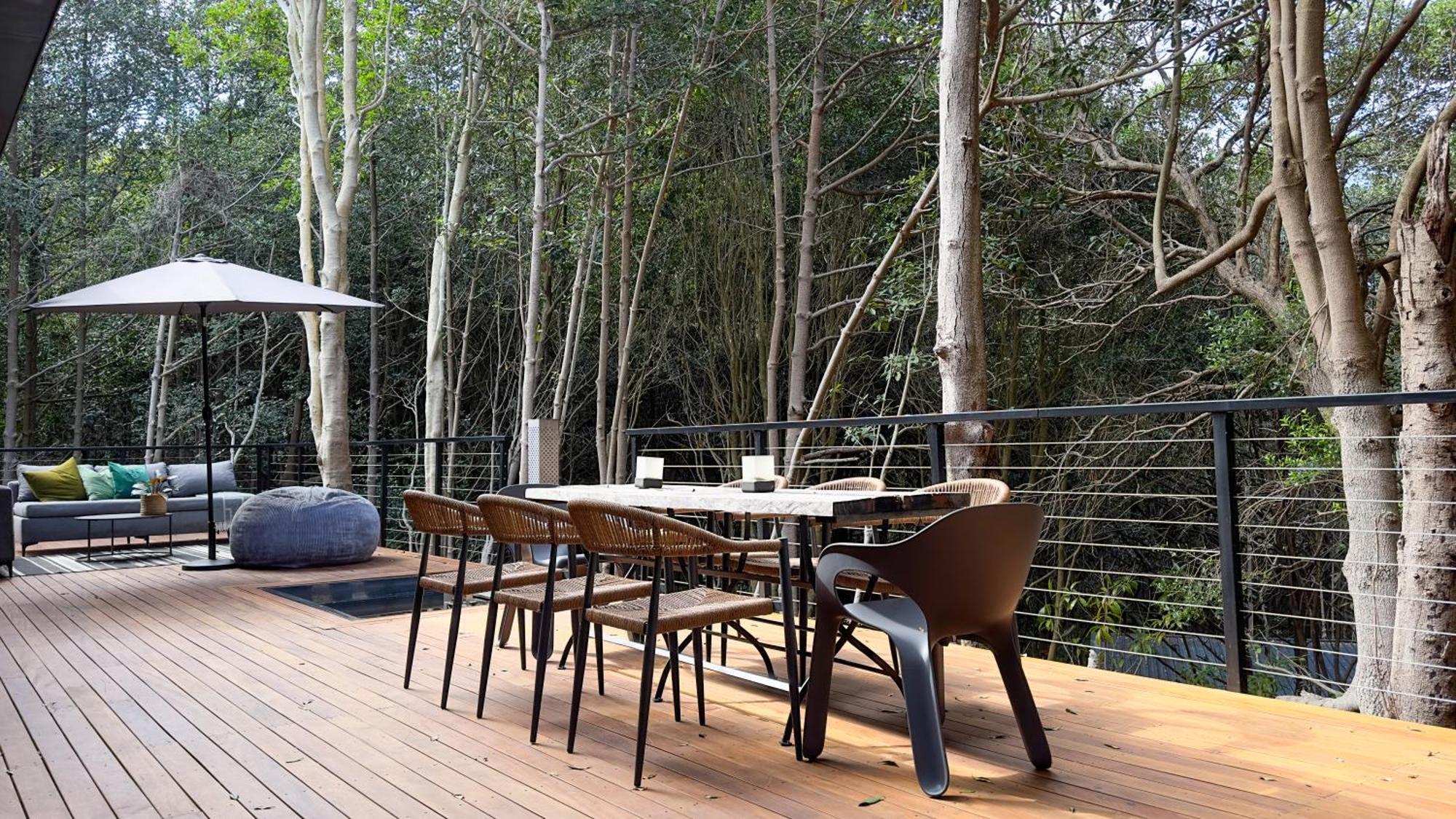 Overstory Forest Ironwood Cape Town